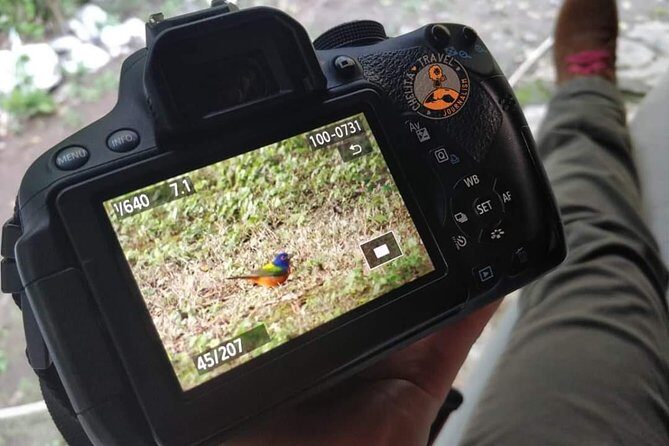 Edzná, the house of the Itzaes - Who Is This Tour Best For?