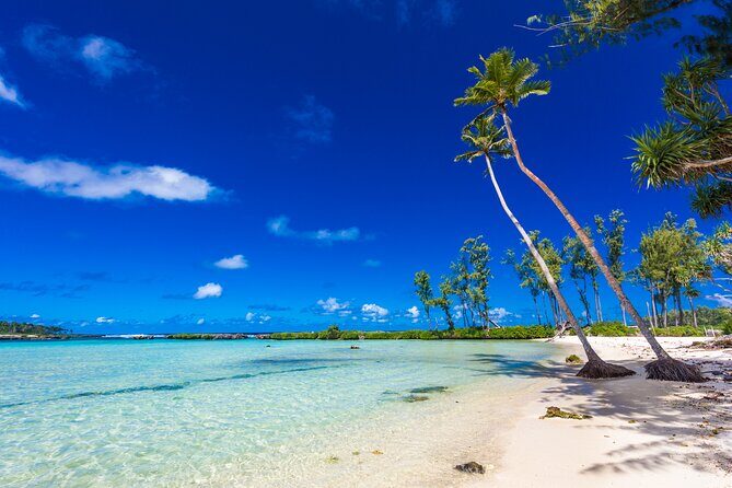 Efate Island Highlights - Why Choose the Efate Island Highlights Tour?