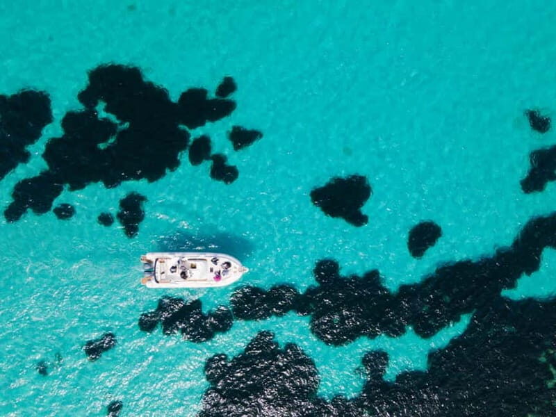 Egadi Boat Experience: Favignana & Levanzo from Trapani - FAQs