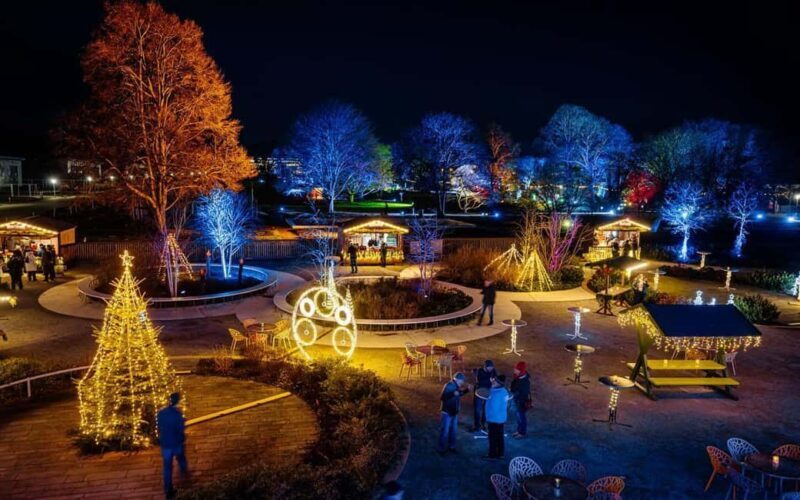 egapark Admission: Winter Lights - The Experience in Detail