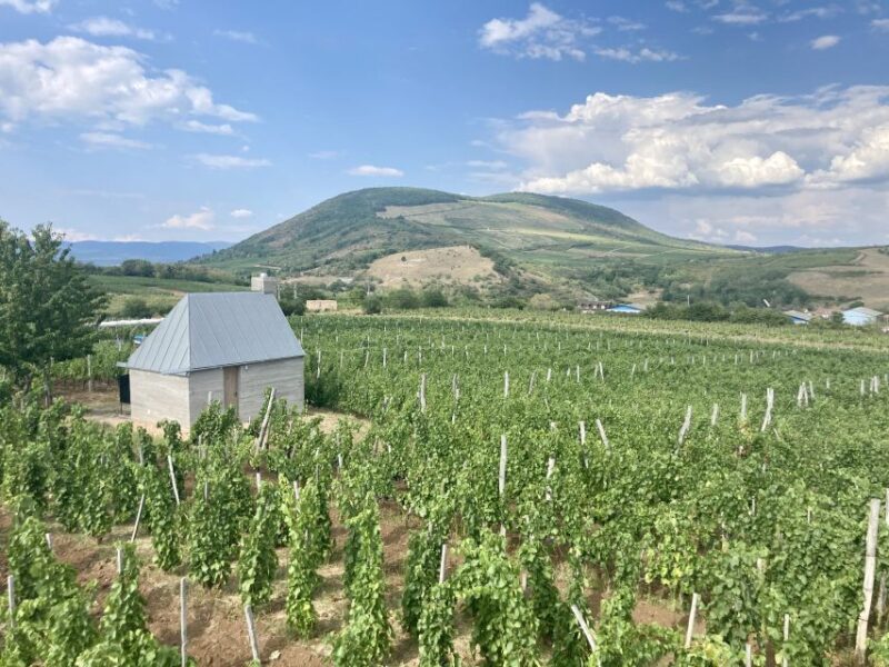 Eger: Countryside, Culture, and Wine Private Tour - Exploring Eger: A Jewel of Northern Hungary