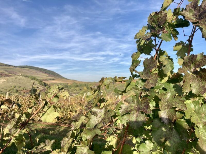 Eger: Countryside, Culture, and Wine Private Tour - FAQ