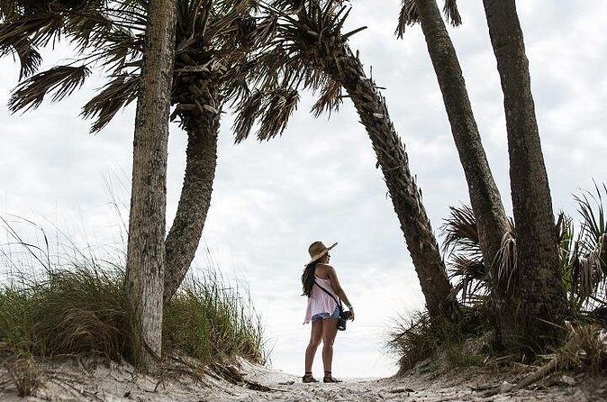 Egmont Key Ferry from Ft. DeSoto Park - Wildlife Encounters and Nature