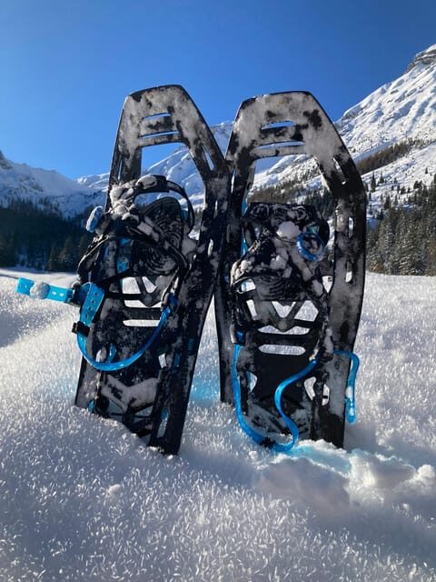 Ehrwald: Zugspitze Snowshoe Hiking Tour with Mountain Views - Key Points