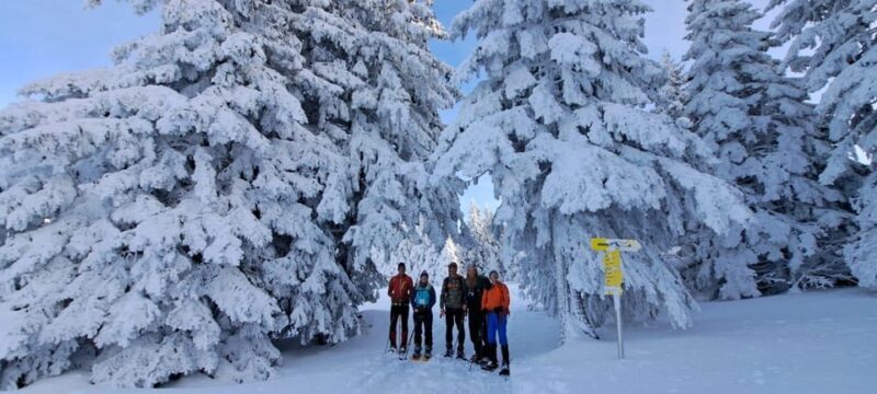 Ehrwald: Zugspitze Snowshoe Hiking Tour with Mountain Views - What Makes This Snowshoe Tour Stand Out?
