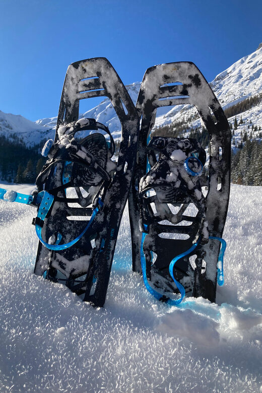 Ehrwald: Zugspitze Snowshoe Hiking Tour with Mountain Views - Practical Details and Considerations