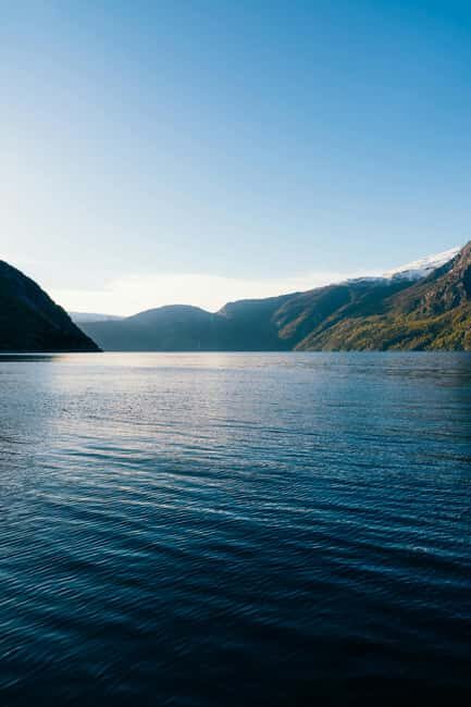 Eidfjord: Shore Excursion with Scenic Adventure - An Honest Look at the Experience