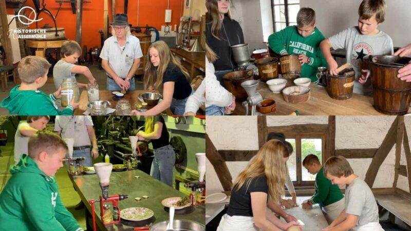 Eifel: Admission to the Historical Water Mill Birgel Technology Museum - Key Points