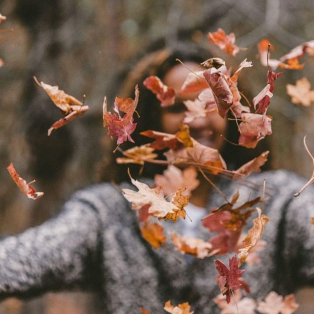 Eindhoven: Self-Guided City Walking Tour - Key Points