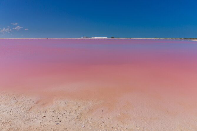 Ek Balam, Pink Lakes, Cenote & Tequila Factory Semi-Private Tour - Final Thoughts