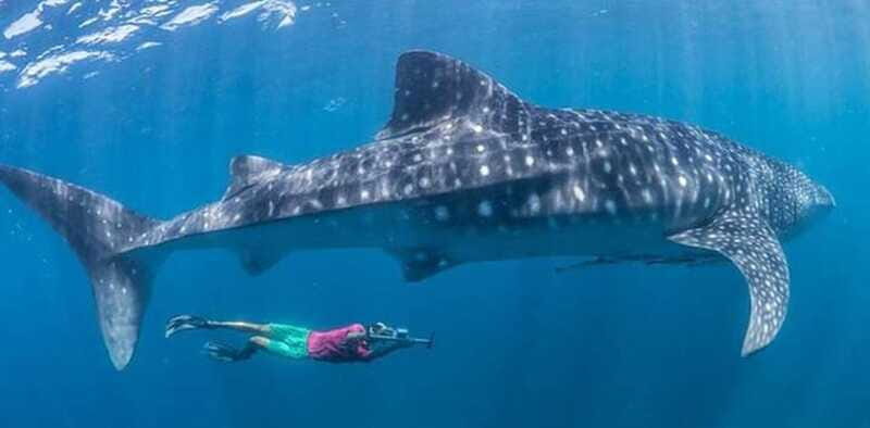 El Cabo: Incredible Private Tour to Espiritu Santo - Who Is This Tour Best For?