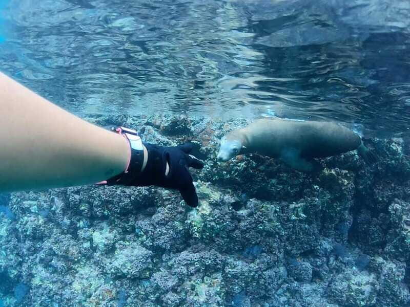 El Cabo: Incredible Private Tour to Espiritu Santo - FAQ