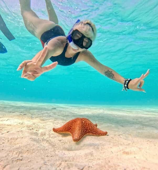 El Cielo and El Cielito in Cozumel with Beach Club, Food, and Open Bar - The Cost and Value