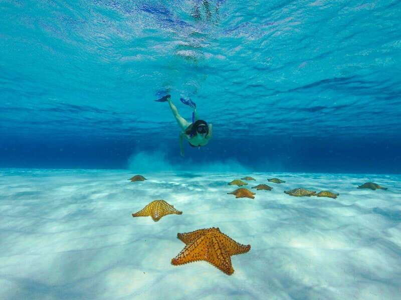 El Cielo and El Cielito in Cozumel with Beach Club, Food, and Open Bar - FAQ