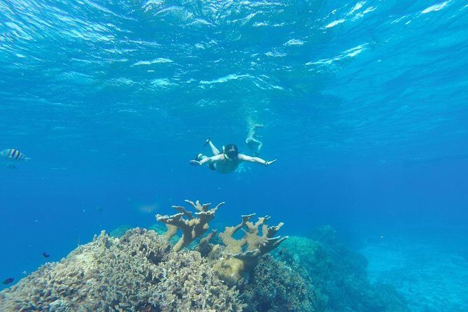 El Cielo and Snorkel Private Excursion - Who This Tour Is Best For