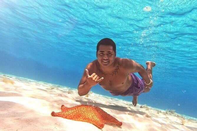 El Cielo Beach Snorkeling Adventure by Catamaran - What to Expect from the Experience