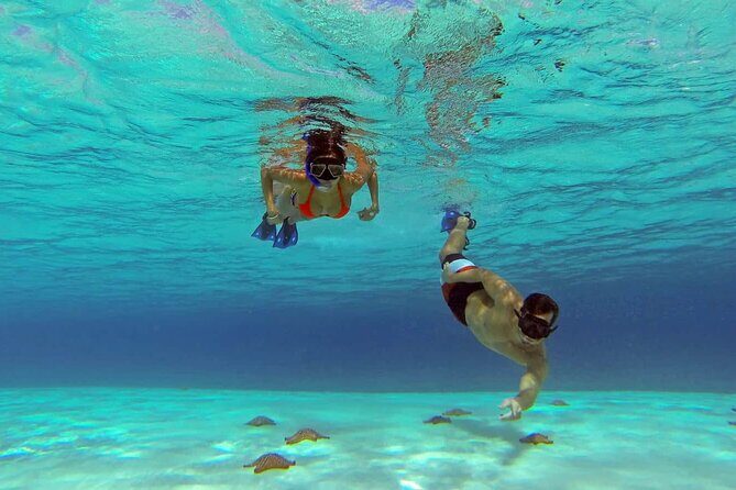 El cielo Cozumel From Cancún and round Transfer with Lunch - The Highlights That Make This Tour Stand Out