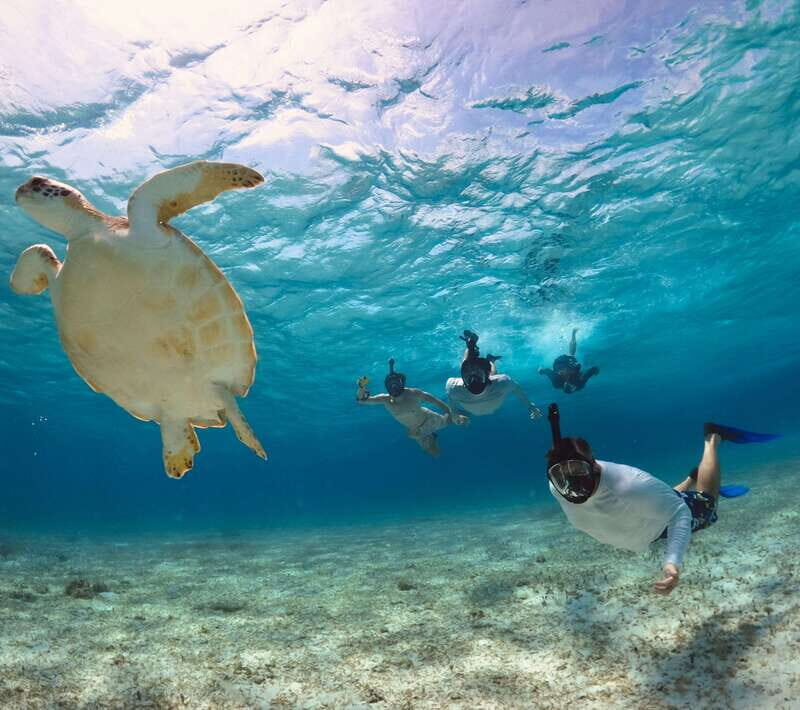 El Cielo Cozumel private snorkel tour - Key Points