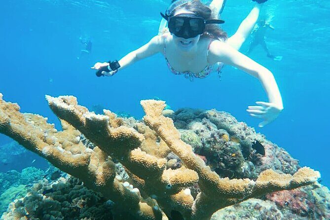 El Cielo Cozumel Snorkel Share Boat + Reefs + Food Drinks + Beach - Frequently Asked Questions