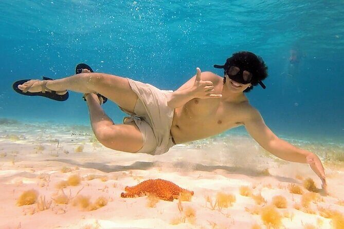 El Cielo Cozumel Snorkeling by Private Boat - Who Is This Tour Best For?