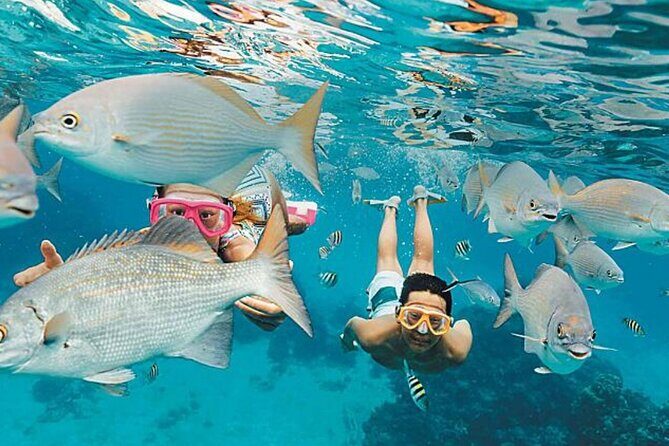 El Cielo Palancar and Columbia Snorkeling Tour - Authentic Traveler Insights