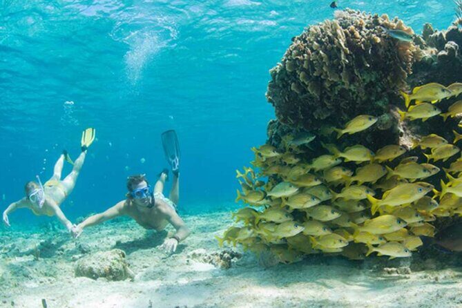 El Cielo Palancar and Columbia Snorkeling Tour - FAQ