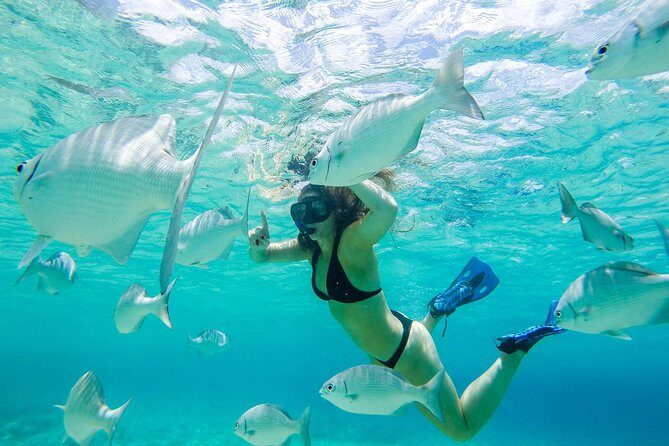 El Cielo Snorkel by Private Boat - Who Is This Tour Best For?