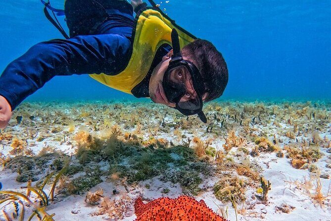 El Cielo Snorkeling Adventure in Cozumel - An In-Depth Look at the El Cielo Snorkeling Tour