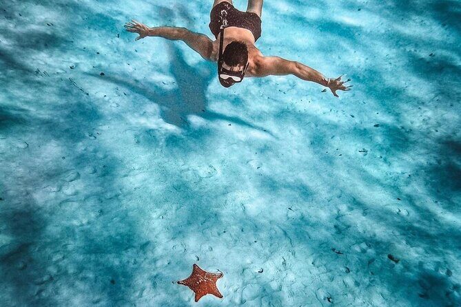 El Cielo Snorkeling Adventure in Cozumel - FAQ