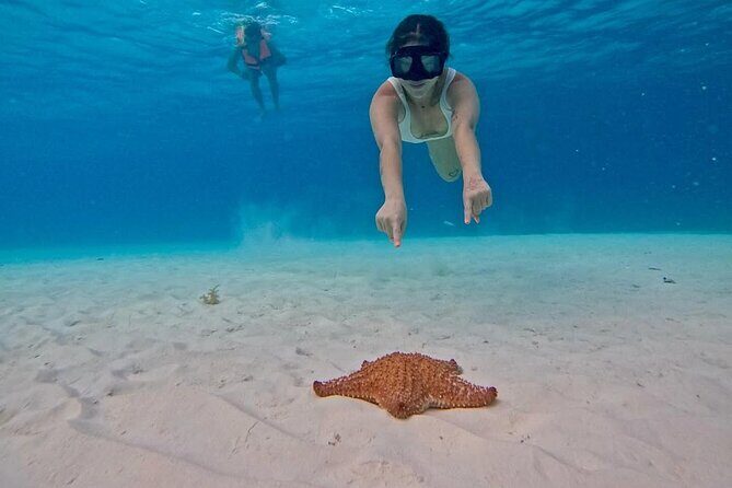 El Cielo Snorkeling Tour and The Top Reefs of Cozumel - What’s Included & What’s Not