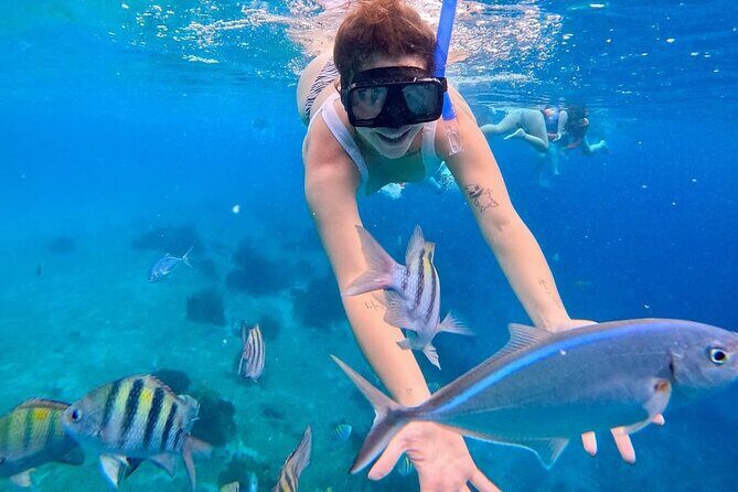 El Cielo Snorkeling Tour and The Top Reefs of Cozumel - The Sum Up