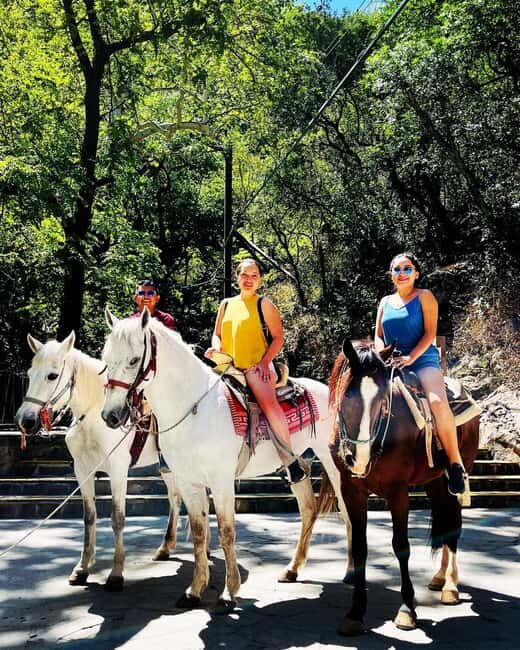 El mejor Tour a Cola de Caballo + Guía + Traslado + Tickets - Santiago: A Cultural and Culinary Stop