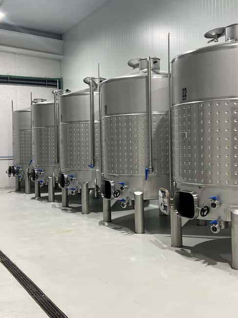 El Pego: Visit and tasting at Bodega Boutique Díscolo - A Closer Look at the Experience