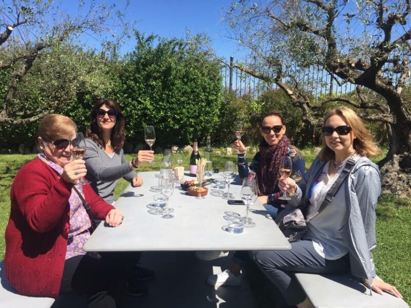 El Penedès: Cava Winery Small Group Tour - Key Points
