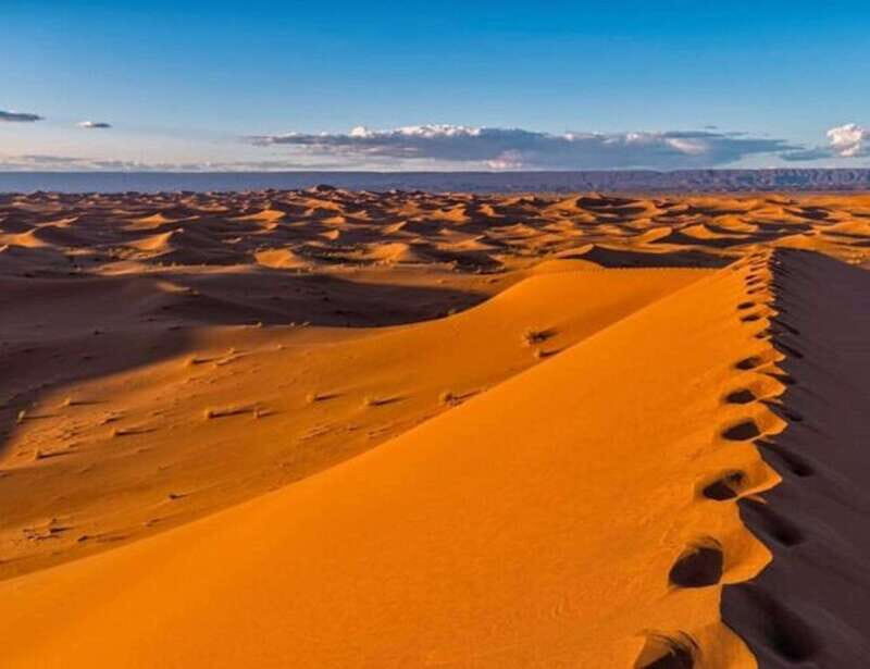 El pinacate: 4-day tour of the craters and Altar desert - What This Tour Offers in Detail