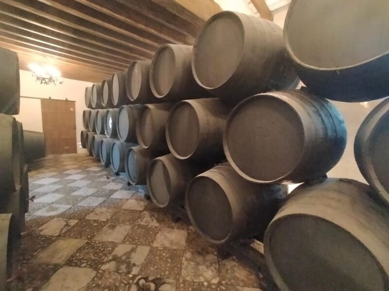 El Puerto de Santa María Winery and Tasting - Exploring the Winery and Its Surroundings