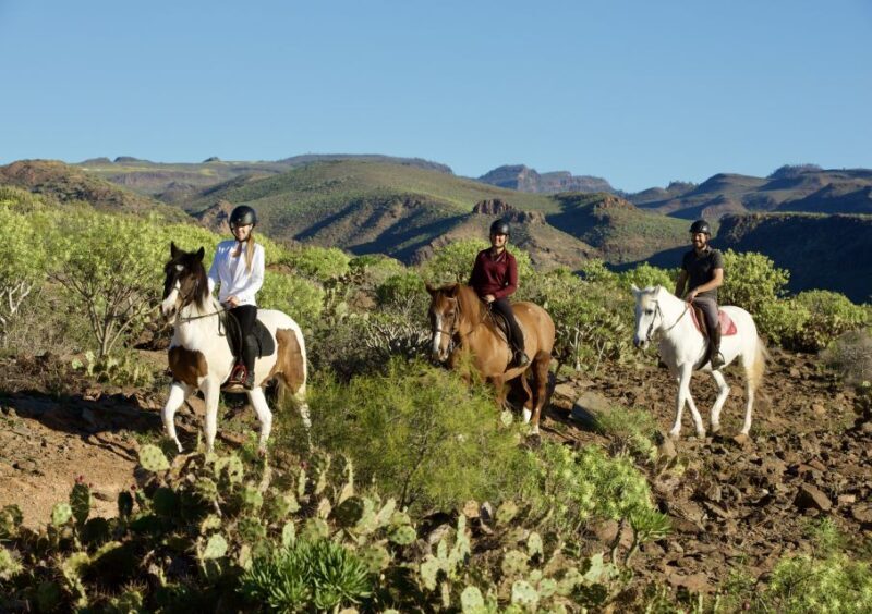 El Salobre: Horse Riding Adventure with Transfer Options - What to Expect from the Horse Riding Adventure