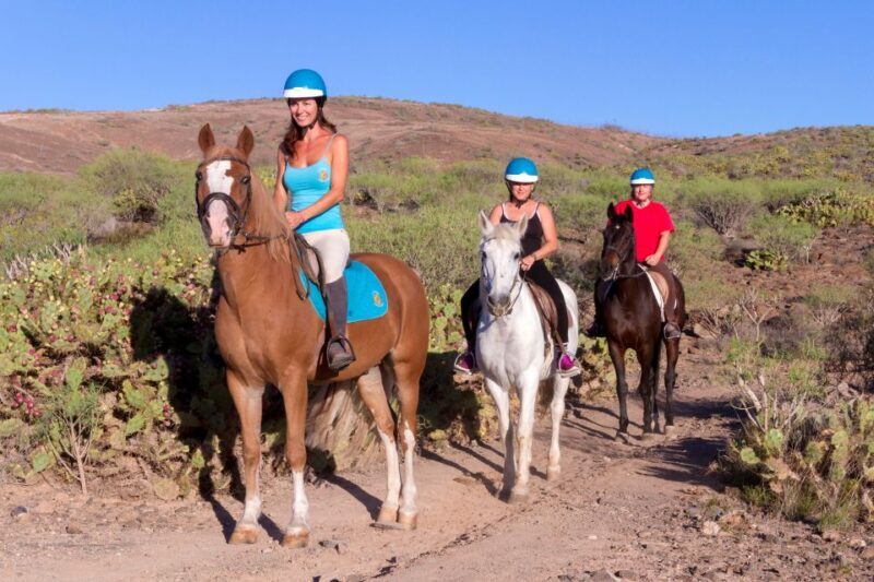 El Salobre: Horse Riding Adventure with Transfer Options - The Scenic Routes and Key Stops