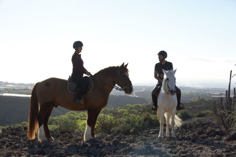El Salobre: Horse Riding Adventure with Transfer Options - The Experience Length and Flexibility