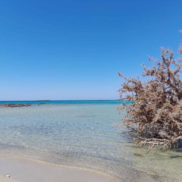 Elafonissi: Private Beach Day Trip with SUP - Final Thoughts: Is This Tour Right for You?