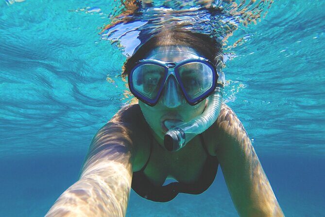 Elaphite Islands Cruise with Local Gastronomy at Captain's House - Who Would Love This Tour?