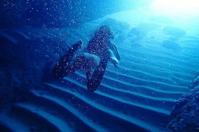 Elaphite Islands - Full-Day Kayaking and Snorkeling tour - The Guide and Group Size