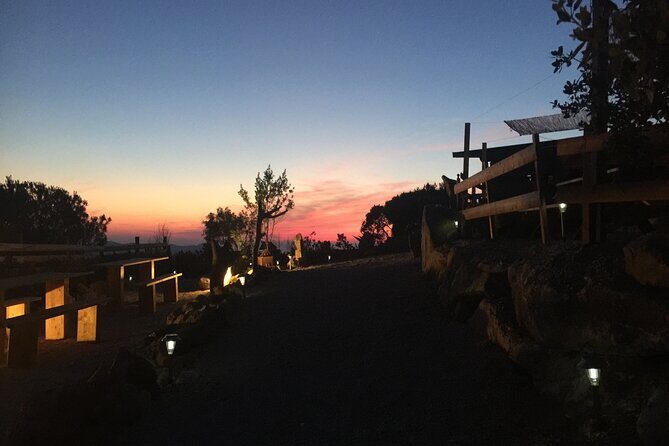 Elba Island Farmhouse tasting experience - Who Should Consider This Tour?