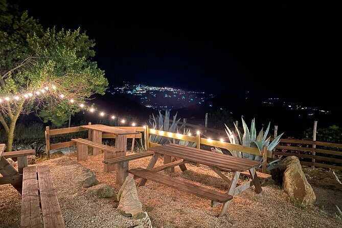 Elba Island Farmhouse tasting experience - Final Thoughts