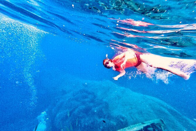 Elba Island Full Day Sea Kayak Tour - The Value of Safety and Guided Experience