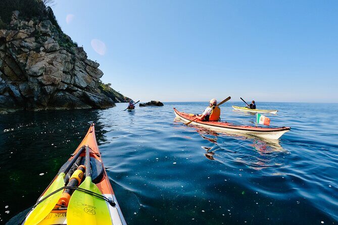 Elba Island Full Day Sea Kayak Tour - Who Should Consider This Tour?