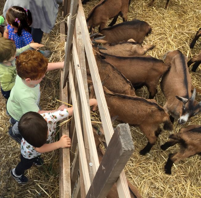 Elba: Tuscan Farmhouse Tasting - FAQ