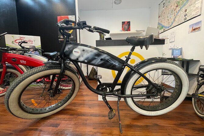Electric Bicycle Rental in Seville - Who is it best suited for?