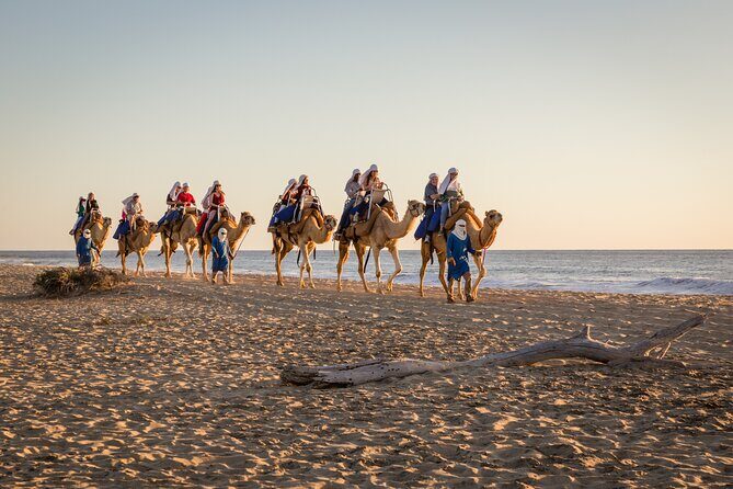 Electric Bike and Beach Camel Ride with Mexican Buffet Lunch - An In-Depth Look at the Tour