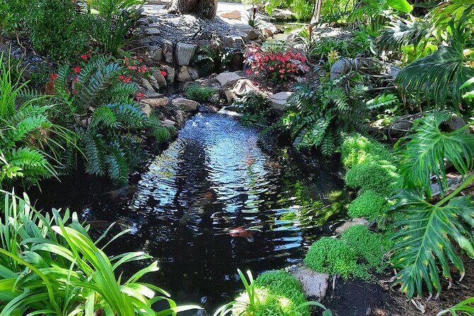 Electric Bike and Train Self Guided Tour of North San Diego Coast - The Ride and Its Highlights